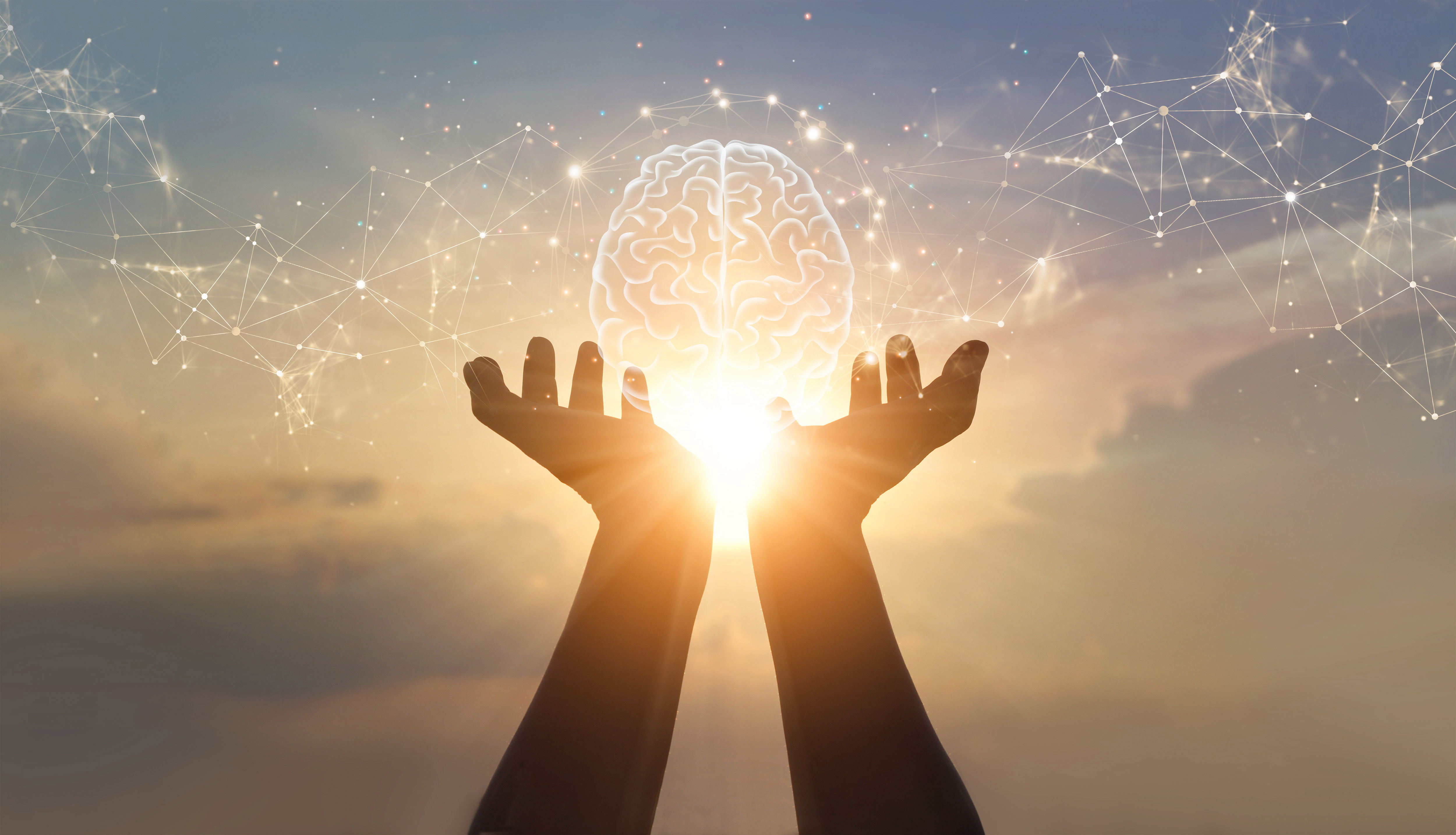 Abstract palm hands holding brain with network connections, inno Abstract palm hands holding brain with network connections, innovative technology in science and communication concept